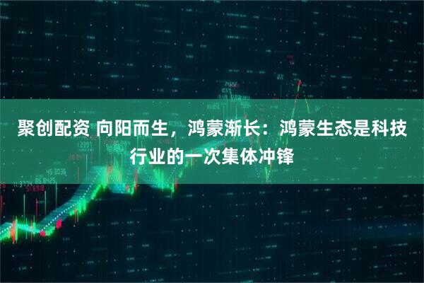 聚创配资 向阳而生，鸿蒙渐长：鸿蒙生态是科技行业的一次集体冲锋