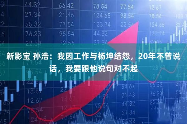 新影宝 孙浩：我因工作与杨坤结怨，20年不曾说话，我要跟他说句对不起