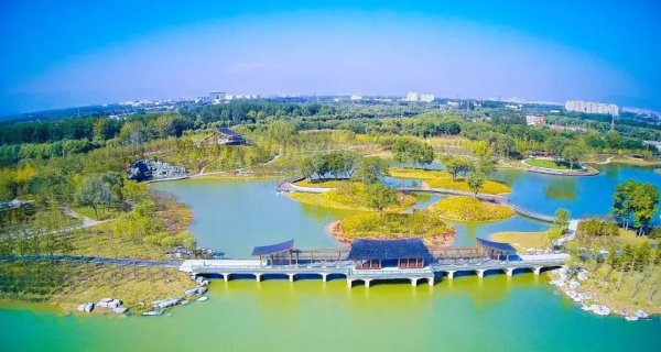 港陆证券 清晨白鹭飞，湖心廊桥美，玉河湿地凭啥成海淀新宠？